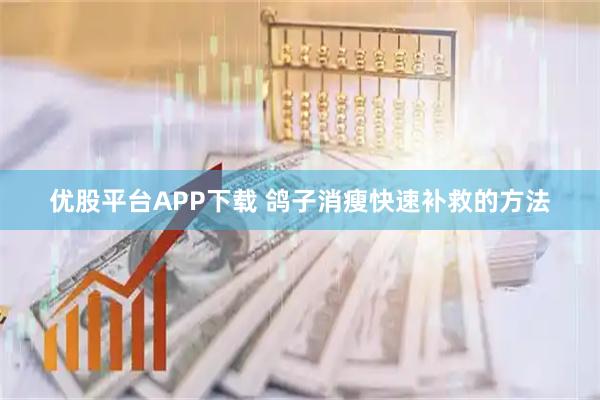 优股平台APP下载 鸽子消瘦快速补救的方法