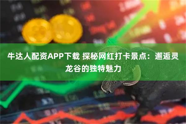 牛达人配资APP下载 探秘网红打卡景点：邂逅灵龙谷的独特魅力