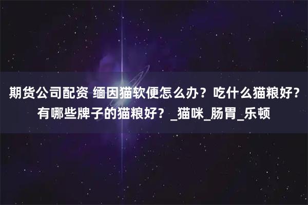 期货公司配资 缅因猫软便怎么办？吃什么猫粮好？有哪些牌子的猫粮好？_猫咪_肠胃_乐顿