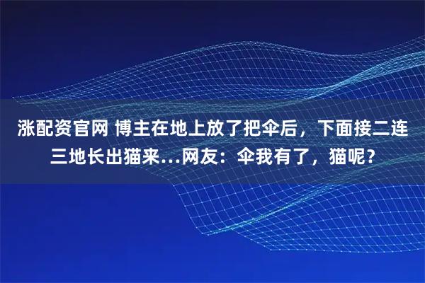 涨配资官网 博主在地上放了把伞后，下面接二连三地长出猫来…网友：伞我有了，猫呢？