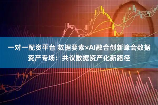 一对一配资平台 数据要素×AI融合创新峰会数据资产专场：共议数据资产化新路径