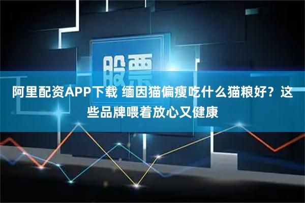 阿里配资APP下载 缅因猫偏瘦吃什么猫粮好？这些品牌喂着放心又健康